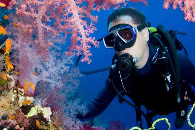 Get free diving certification in Maldives