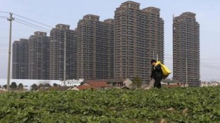 United Nations, 2050, India Development program, urban residents, urbanisation in India, Development in india