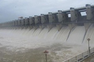 Hydropower dams, species extinction, University of Stirling, research Hydropower dams, species extinction, University of Stirling, research