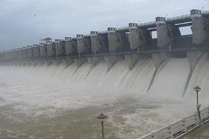 Hydropower dams, species extinction, University of Stirling, research