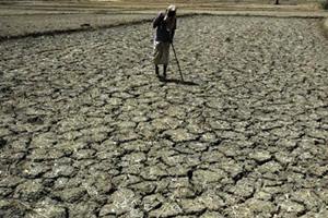 West bengal drought, drought crisis, Ministry of agriculture, Subrata Mukherjee