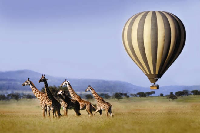 10 must-do things this summer vacation in Kenya