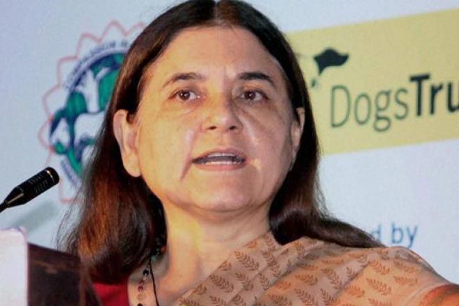Maneka Gandhi
