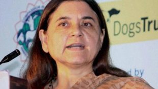 Maneka Gandhi