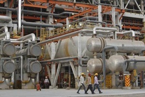 vegetable oil prices, oil import bill india, Solvent Extractors' Association of India, world's largest oil buyer, India