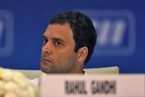 Rahul Gandhi, Congress party, Congress Vice President, AICC