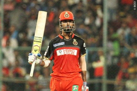  According to sources, Rahul Gandhi will soon be crowned as the Congress president. (PTI)