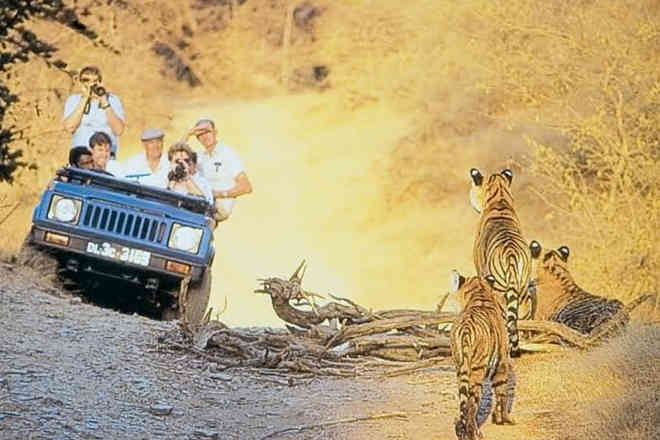 Ranthambhore National Park