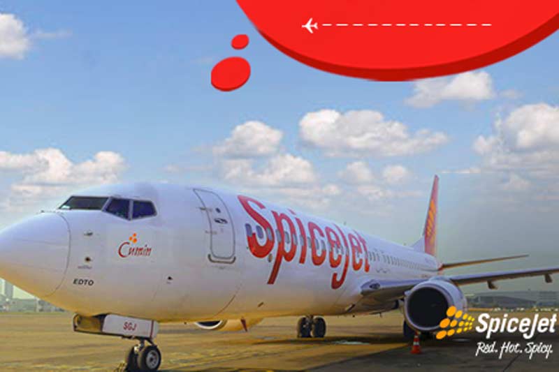 spicejet offer, spicejet share price, spicejet booking, spicejet offer 2016, spicejet offers march 2016, spicejet offers january 2016, spicejet offer 599 ticket booking, spicejet offer 2016 booking, spicejet offer code, spicejet offers 599, spicejet flight status, spicejet promo code, spicejet reviews, spicejet news