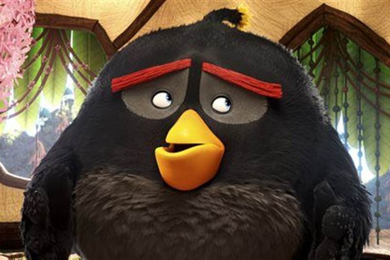 The Jungle Book, angry birds, angry bird movie, angry bird box office collection, Captain America, Neighbors 2: Sorority Rising, The Nice Guys, Money Monster,The Darkness, Zootopia, The Huntsman: Winter's War, Mother's Day