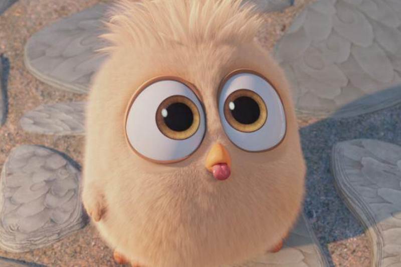 The Jungle Book, angry birds, angry bird movie, angry bird box office collection, Captain America, Neighbors 2: Sorority Rising, The Nice Guys, Money Monster,The Darkness, Zootopia, The Huntsman: Winter's War, Mother's Day