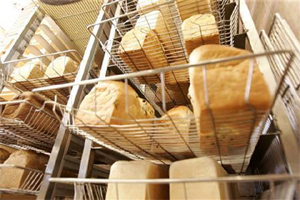 CSE report on cancer-causing chemicals in bread, pizza put Britannia, Jubilant FoodWorks stocks under pressure CSE report on cancer-causing chemicals in bread, pizza put Britannia, Jubilant FoodWorks stocks under pressure