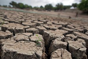 Drought
