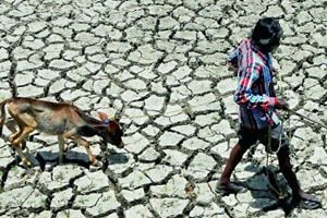 Drought: SC says Centre should create mitigation fund