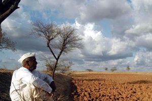 Farm distress, Farm distress In India, Farm distress Great depression