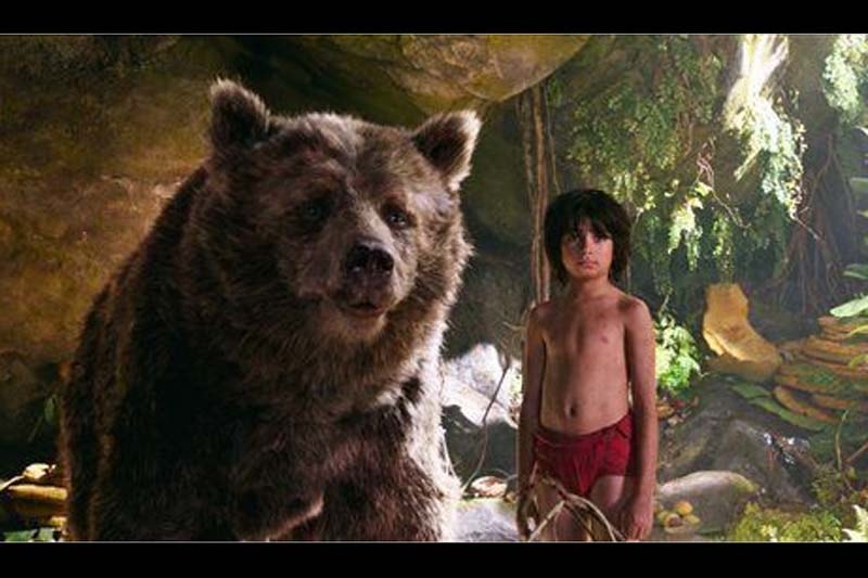 Captain America: Civil War, Captain America: Civil War cast, Captain America: Civil War review, Captain America: Civil War box office cllection, the jungle book