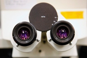 scanning helium microscope, biological sciences, pharmaceuticals