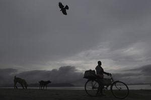 Amul, Amul news, Vijay Mallya, Suresh Prabhu, Indian Railways, Indian railways news, e-commerce industry, ec-commerce inj india, e-commerce industry india, monsoon in india, monsoon 2016, GoAir, GoAir news, GoAir flights, Pakistan