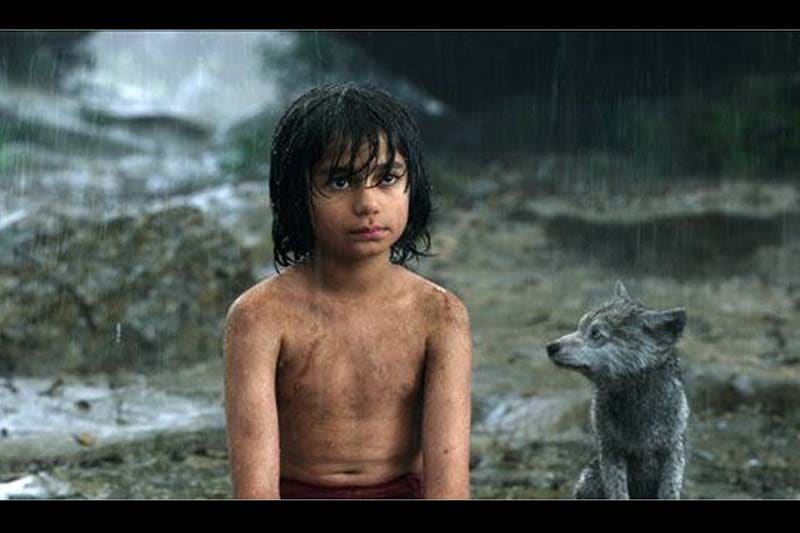 Jungle Book, Jungle Book box office, Jungle Book collections, Jungle Book lifetime collection, jungle book movie, jungle book 2016, jungle book box office tracking