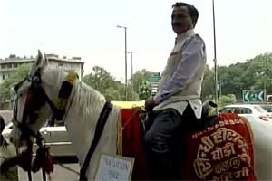 The horse was labelled a pollution free vehicle. (Photo ANI) The horse was labelled a pollution free vehicle. (Photo ANI)