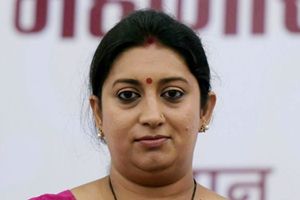The Union Minster said people should ponder over whether it was Tamil Nadu's destiny to be "hijacked" by the interest of one family. (PTI)

