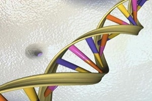 While people have been working on DNA coding for long and they have been able to create artificial DNA, what has eluded them is the science behind regenerative capacity of DNA. (Reuters) While people have been working on DNA coding for long and they have been able to create artificial DNA, what has eluded them is the science behind regenerative capacity of DNA. (Reuters)
