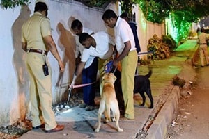 The officials said the dogs are being trained in the special skills of explosives detection and will be trained in VVIP security duties along with their handlers. (Reuters)