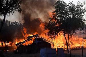 Chief minister's uncle, Shivpal Yadav, who is a minister, has been accused by BJP of being a patron of the cult which moved into the 280-acre park in 2014.