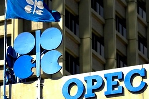 OPEC, OPEC oil
