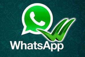 Whatsapp Whatsapp