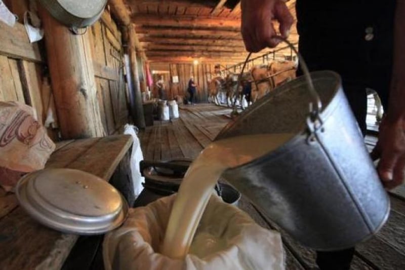 Amul, Amul news, Vijay Mallya, Suresh Prabhu, Indian Railways, Indian railways news, e-commerce industry, ec-commerce inj india, e-commerce industry india, monsoon in india, monsoon 2016, GoAir, GoAir news, GoAir flights, Pakistan