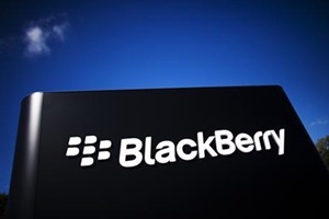 Blackberry Blackberry