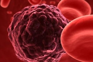 cancer, cander cells