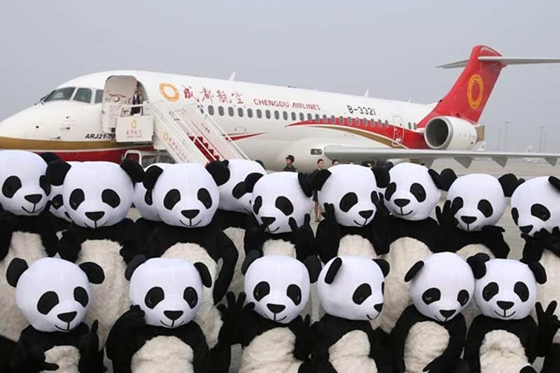 regional china jet, regional china jet debut, china jet, arj21-700 jet, chengdu airlines, commercial aircraft corp. of china, china news