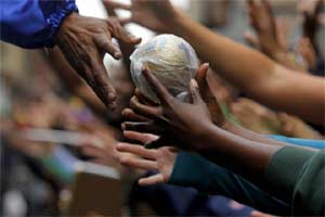 The Coconut Development Board (CDB) has cleared 18 projects in coconut value-addition, with an outlay of about Rs 12.76 crore. (Reuters)