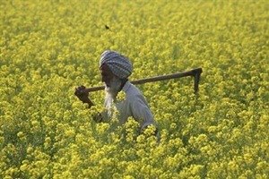 Haryana government approves climate resilient agriculture practices project