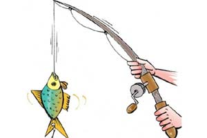 Fast boats with 500 horsepower engines and trawling speeds of four knots (or 7.4 km) an hour are non-selective, sweeping in both marketable and non-marketable, and mature and immature fish. (EP)