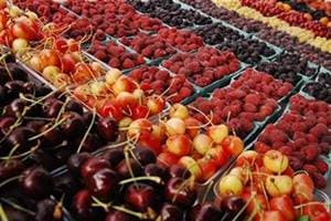 From fruit to glass or, in this case, into a small plastic bottle. It was packed well and the label proudly declared its freshness quotient. (Representative image : Reuters)