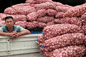 garlic china, china garlic market