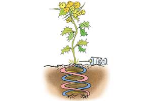 GEAC must not yield to activists’ pressure tactics