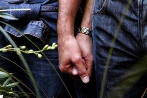 gay marriage