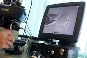 IVF Technique, genetic disease risk, health, health news