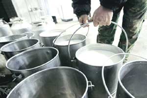 The volume of milk shipments to the world’s most-populous nation has jumped an average of 126 percent a year since 2010, creating a $333 million market dominated by the European Union, according to Chinese customs data.