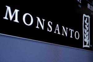 Thwarted, they now want to strong-arm Monsanto into ceding most of its control on the anti-bollworm GM technology it developed with Bt cotton. (Reuters)