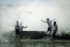 monsanto, monsoon, rain, bse