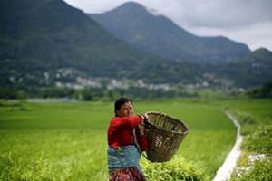 Migration of mainly low-skilled workers is a key source of income for Nepal, where remittances account for around a quarter of gross domestic product. (Reuters)