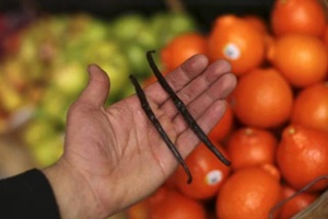 With a Rs three crore investment,the company's vision is to to be among top three online grocery businesses. (Reuters) With a Rs three crore investment,the company's vision is to to be among top three online grocery businesses. (Reuters)