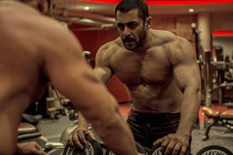 Sultan, Sultan box office, Sultan box office collections, Sultan collections, Sultan movie, salman khan, Sultan salman khan