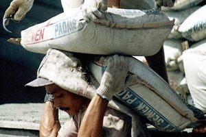 Cement firms including ACC, Ambuja and India Cements today said they will move COMPAT against fair trade regulator CCI's order to impose Rs 6,700 crore penalty, while others like Ultratech and Shree Cement adopted a wait-and-watch approach. (Reuters) Cement firms including ACC, Ambuja and India Cements today said they will move COMPAT against fair trade regulator CCI's order to impose Rs 6,700 crore penalty, while others like Ultratech and Shree Cement adopted a wait-and-watch approach. (Reuters)
