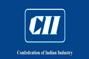CII demands panel to revive private sector investment in infra CII demands panel to revive private sector investment in infra